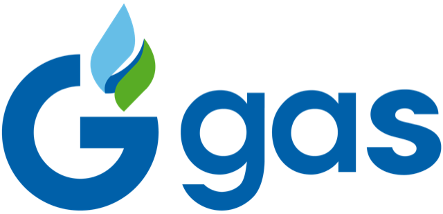 Geogas Solomons Ltd